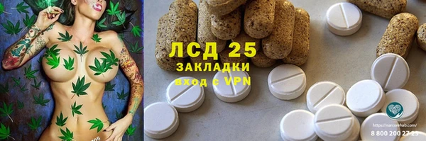 мдпв Корсаков