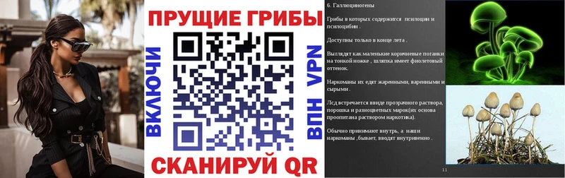 Псилоцибиновые грибы прущие грибы  гидра ссылки  Семикаракорск  как найти закладки 