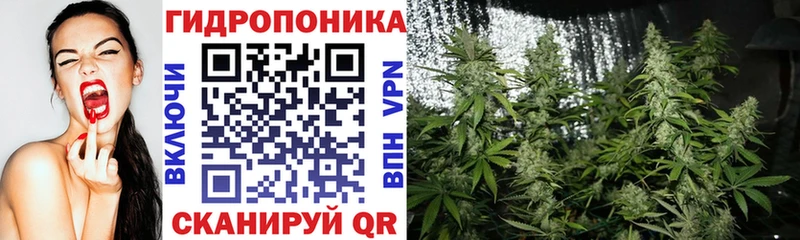 Каннабис конопля  маркетплейс клад  Семикаракорск 